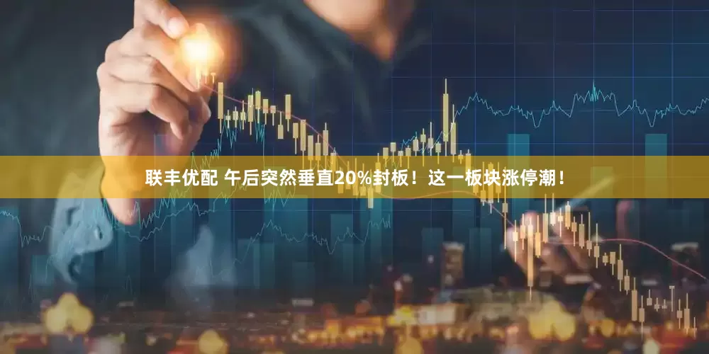 联丰优配 午后突然垂直20%封板！这一板块涨停潮！