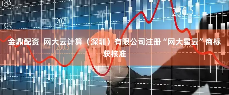 金鼎配资  网大云计算（深圳）有限公司注册“网大星云”商标获核准