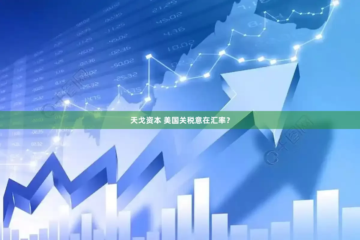 天戈资本 美国关税意在汇率？